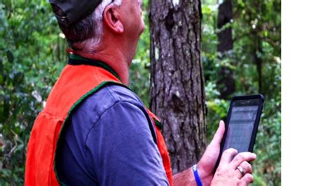 timber cruising software|two dog timber cruise software.